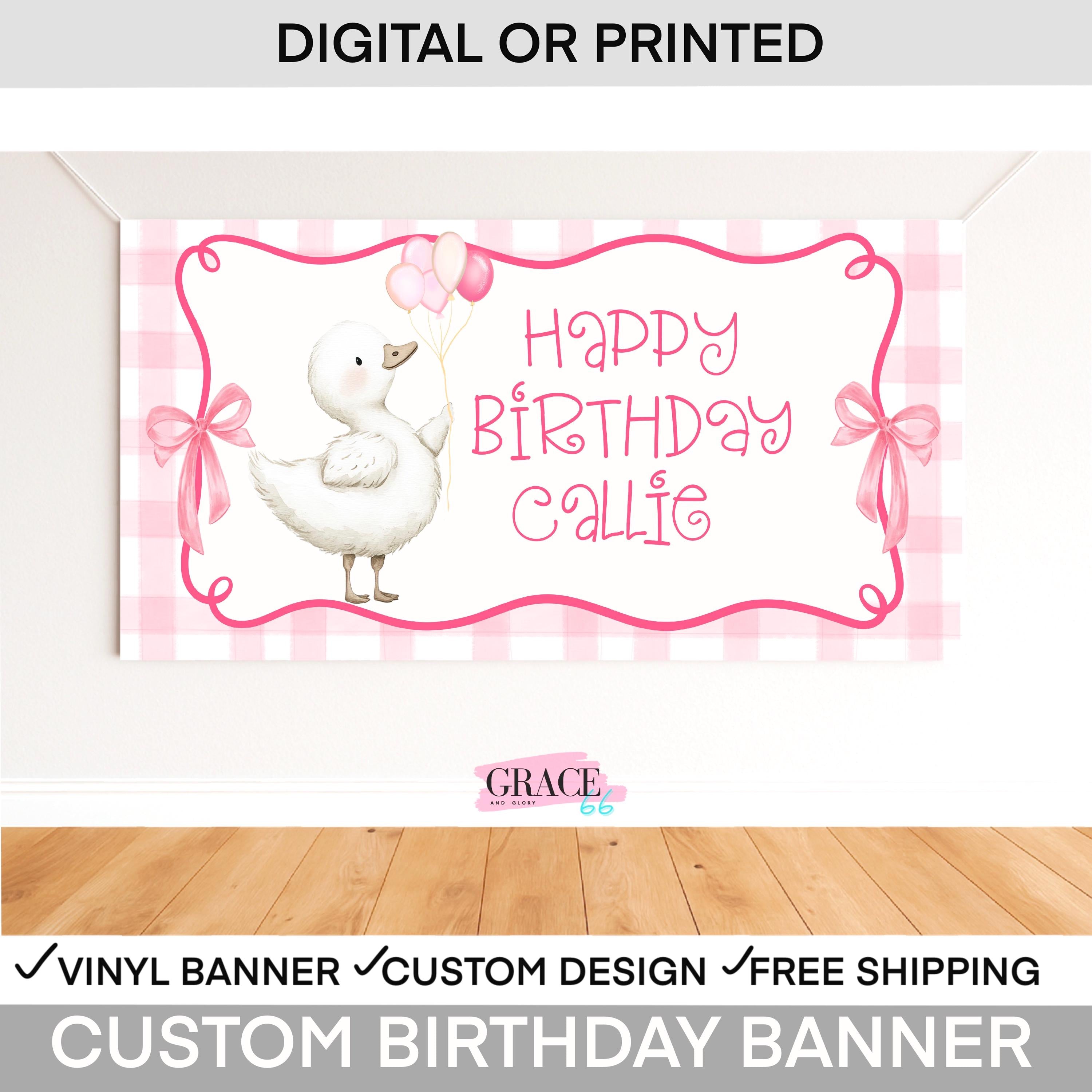 One Silly Goose Birthday Banner Girl | Goose First Birthday Decor |  Goose Birthday  Party Backdrop | Silly Goose 1st birthday decorations