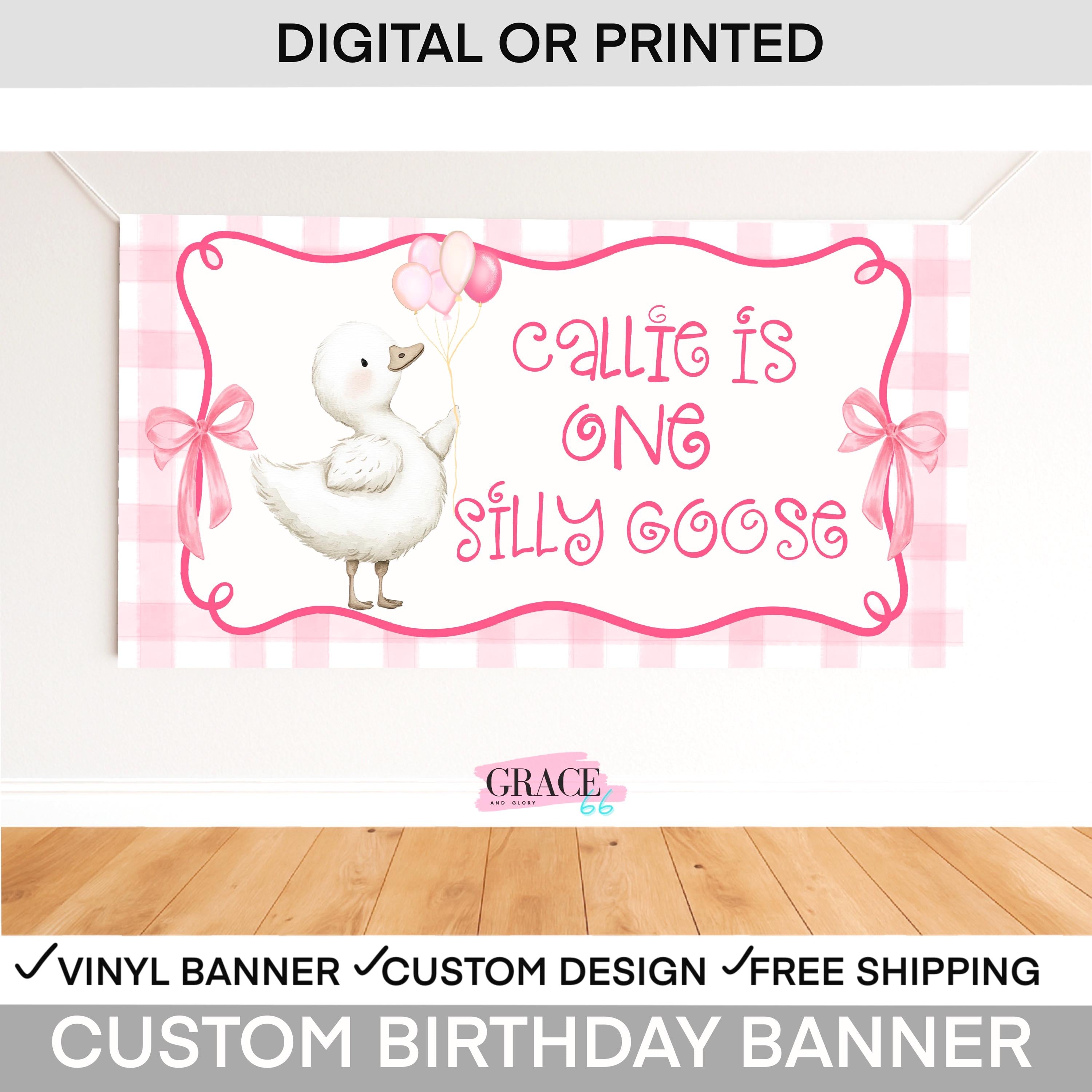 One Silly Goose Birthday Banner Girl | Goose First Birthday Decor |  Goose Birthday  Party Backdrop | Silly Goose 1st birthday decorations