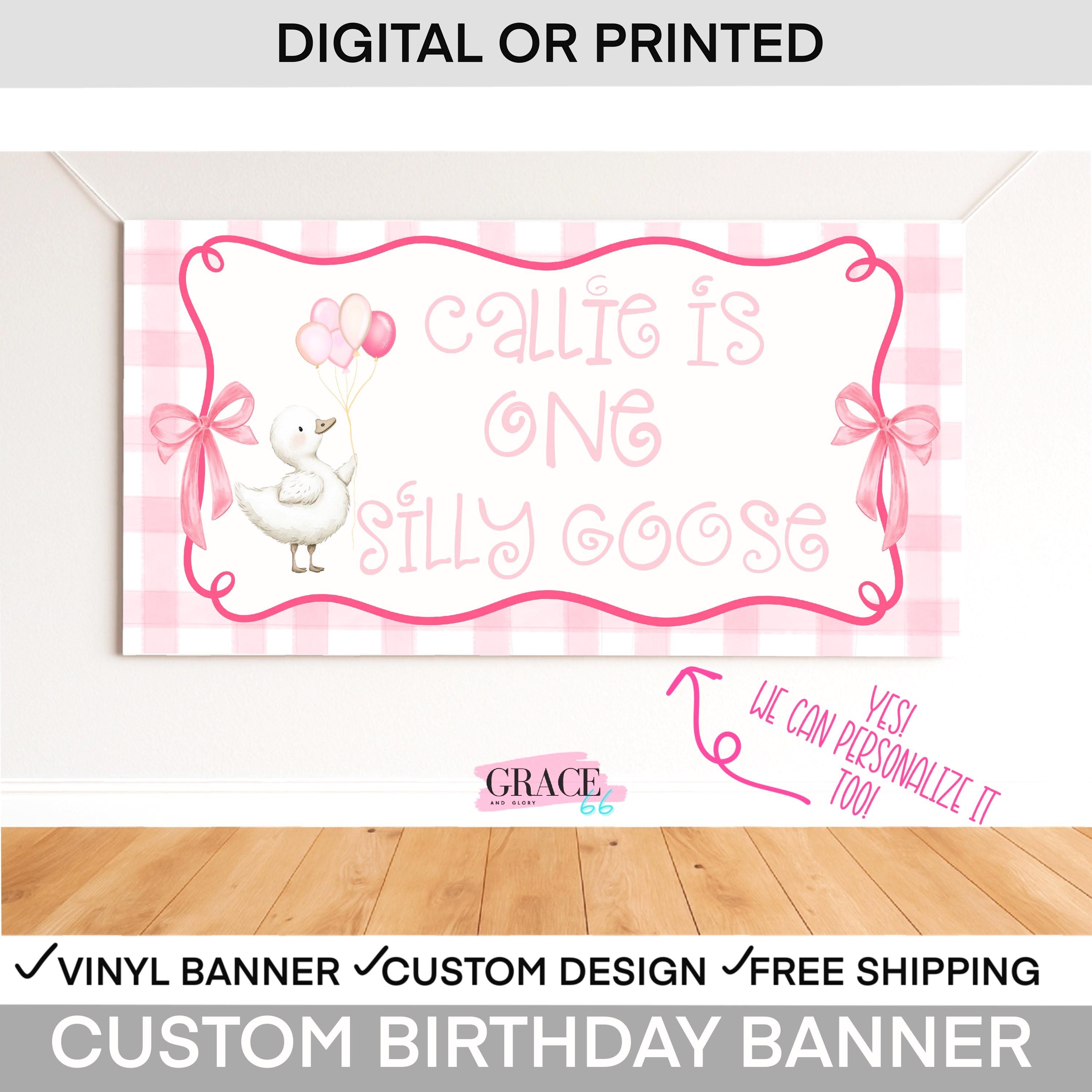 One Silly Goose Birthday Banner Girl | Goose First Birthday Decor |  Goose Birthday  Party Backdrop | Silly Goose 1st birthday decorations