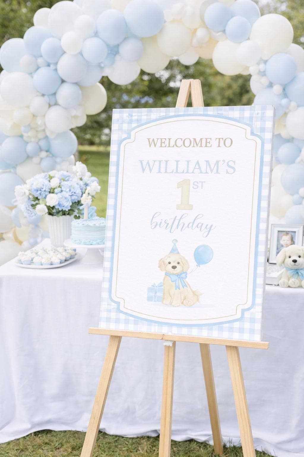 Goose First Birthday Welcome Sign, Duck Birthday Party Sign, Blue Gingham Boy 1st Birthday Welcome Poster, Little Goose Birthday Decor